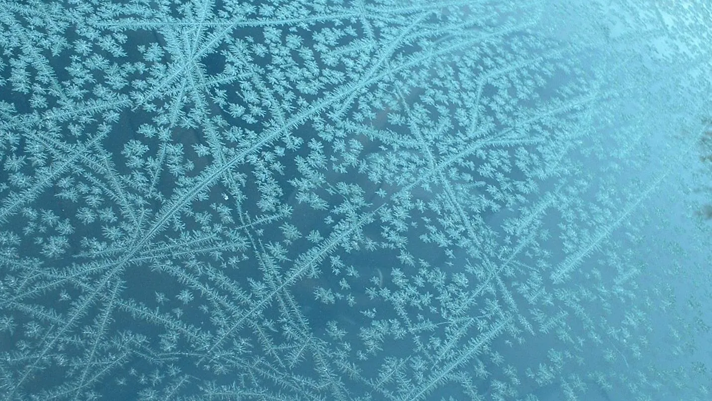 Fast Freeze