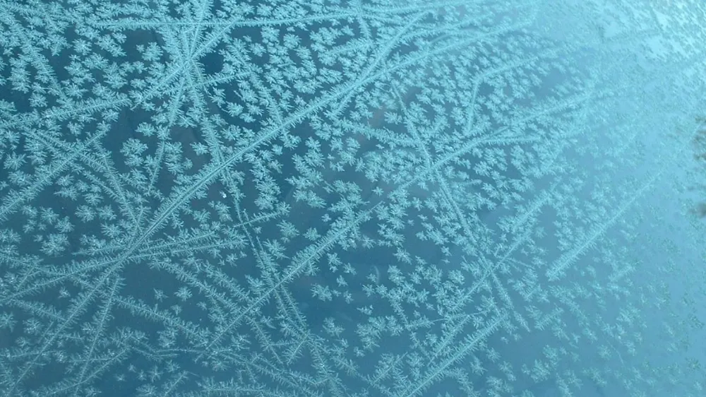 No Frost