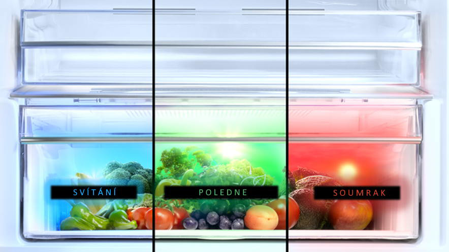 VitaminZone