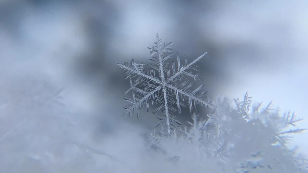 No Frost